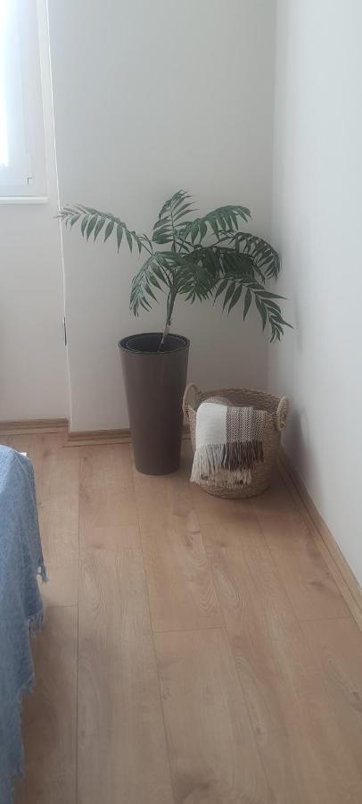 Apartman Taca Subotica Dış mekan fotoğraf